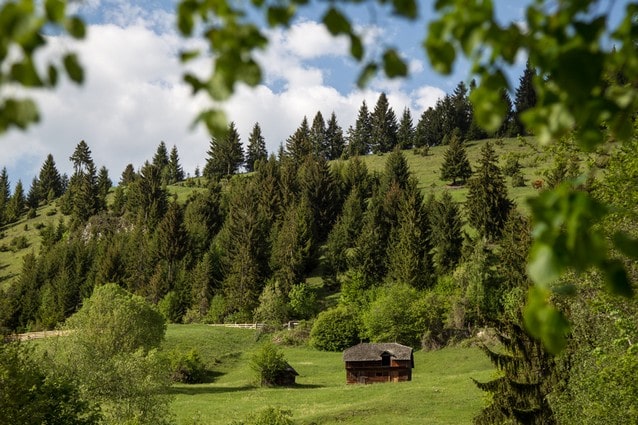 Karpatské hory, příroda